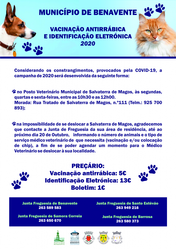 Imagem Vacinação Antirrábica e Identificação Eletrónica 2020