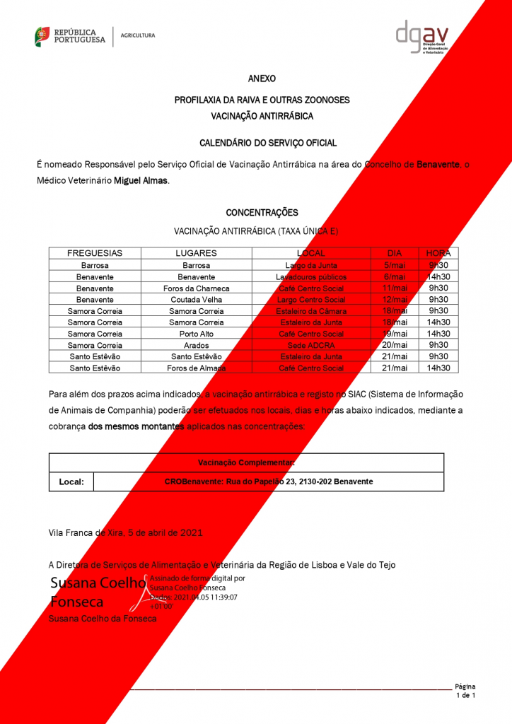 Imagem Vacinação Antirrábica 