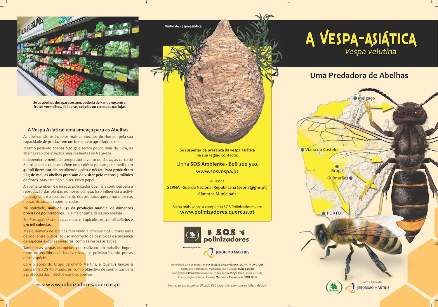 Imagem A Vespa - Asiática